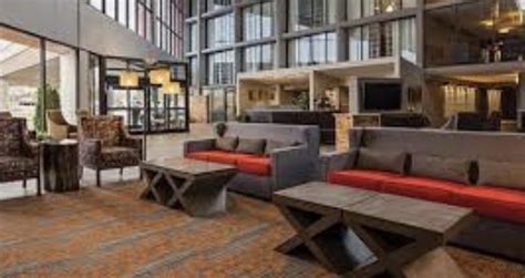 pet friendly best western|Best Western Pet Policy & Pet Friendly Locations.